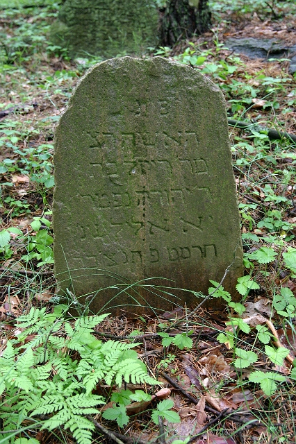 1889 IMG_0413.jpg - Here lies a modest woman, Raizel the daughter of Yehuda, died 11th Elul 5649 -Sept. 7, 1889.  (IMG_0413.jpg)